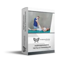 Нейродинамика. Тесты и упражнения