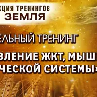 Восстановление ЖКТ, мышц и лимфатической системы. Стихия Земля. Шаг №2