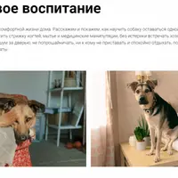 Бытовое воспитание