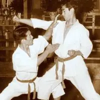 Тёмная сторона кунг-фу: Скрытые атаки в уличном бою