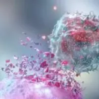 Разрушитель грибков