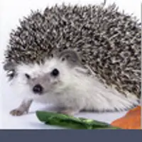 Календарь благоприятных дат PRO на 2021-2022 года