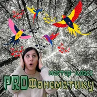 Мастер-класс ProФонематику