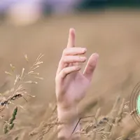 Прикоснуться к Природе: заготовка растений