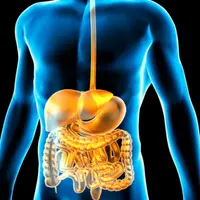 Коды пищеварительной системы