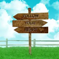 Связь разума и сердца