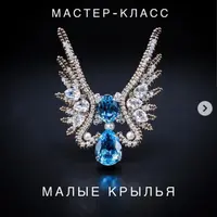 Орден «Малые крылья»