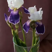 Ирис из холодного фарфора