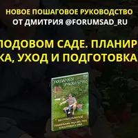 Всё о плодовом саде: планирование, посадка, уход и подготовка к зиме