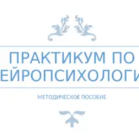 Практикум по нейропсихологии
