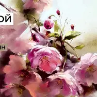 Ветка сакуры