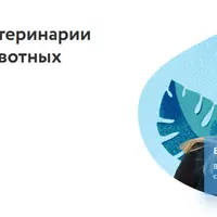 Мини-курс по ветеринарии экзотических животных