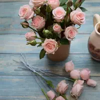 Мастер-класс по кустовой розе Свит Сара