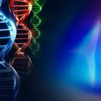 Активация 12, 24 и 36 нитей ДНК