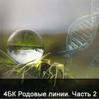 Родовые линии. Часть 2