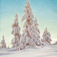 Зима. Заснеженные деревья