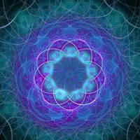 Поле Эликса