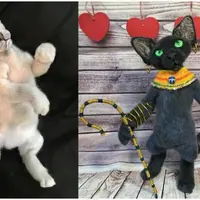 Кошка породы Девон-Рекс