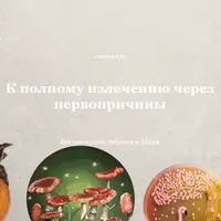 К полному излечению через первопричины