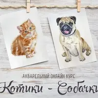 Котики - Собачки. Акварельные курсы