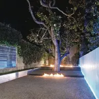 Терапевтические сады. Сад как пространство для ревитализации и релаксации