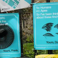 Современная айдентика. Вербальные и визуальные приемы