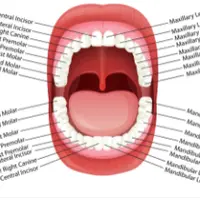 Улучшение зубов
