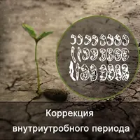 Коррекция внутриутробного развития