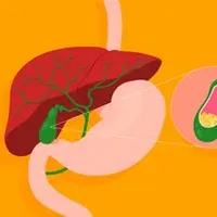 Желчный пузырь. Детоксикация. Методические рекомендации