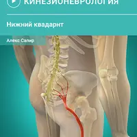 Мануальная терапия нервной ткани. Нейро-мио-фасциальные манипуляции. Нижний квадрант