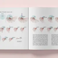 Визуализация данных и информационный дизайн