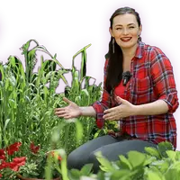 Урожайный курс