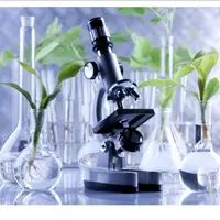 Общий анализ крови: расшифровка