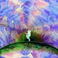 Обряд посвящения