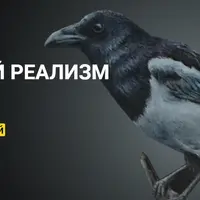 Карандашный реализм. Птицы