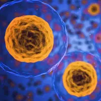 Регенерация клеток - Омоложение и исцеление