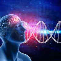 NMN - максимальная производительность, сила мозга, ноотропные добавки