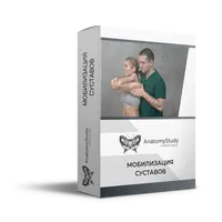 Мобилизация суставов. Мануальные техники