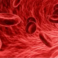 Стимулируйте нормальное кровообращение - 337 Гц - Частота исцеления тела