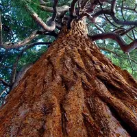 Заземление