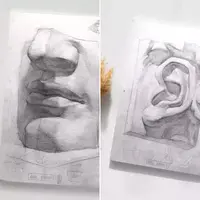 Пластическая анатомия. Большой курс