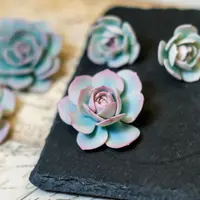 Брошь с суккулентами