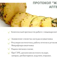 Протокол ЖКТ