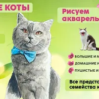 Мартовские коты