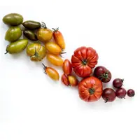 Фитонутриенты: Еда как лекарство