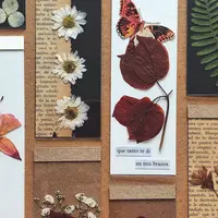 Основы сушки цветов под прессом