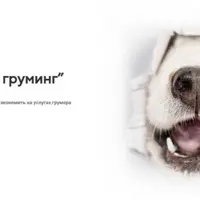 Домашний груминг