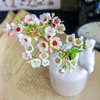 Хамелациум