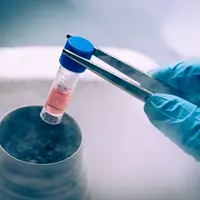 Бессмертный фактор регенерации