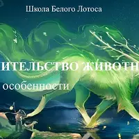 Целительство животных